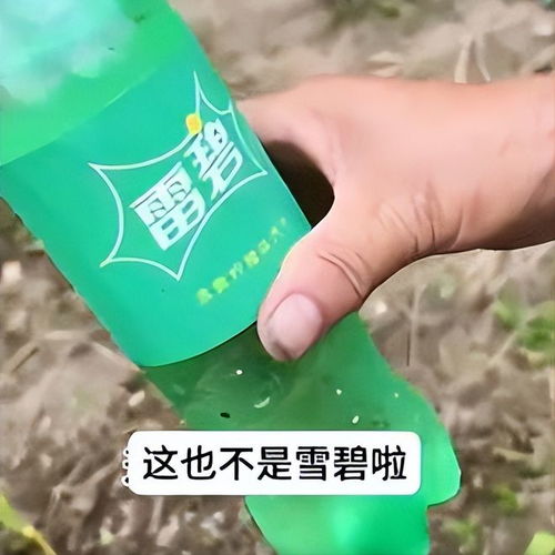 雪碧還是“雪碧”？岳陽外婆誤購“李鬼”飲料引發笑談