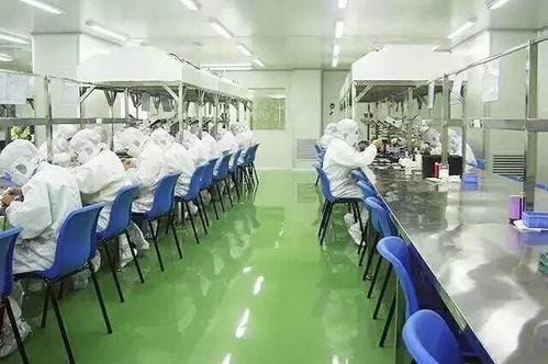 科學搭配，自然養顏 保健食品助力女性青春常駐