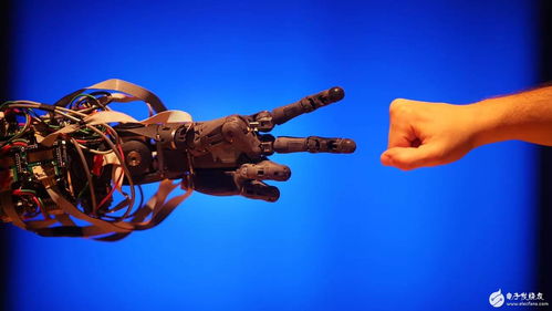 硅谷AI創(chuàng)新 在資本主義框架下的人工智能應(yīng)用軟件開(kāi)發(fā)